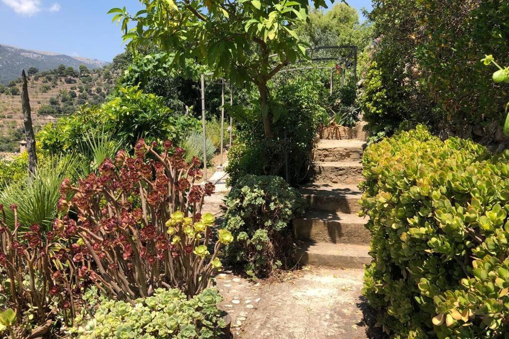 Hébergement de vacances Sky Garden Mallorca - Ca'n Tomeu